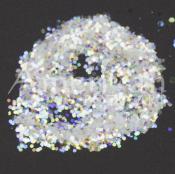 Holographic White Chunky Glitter (0.040